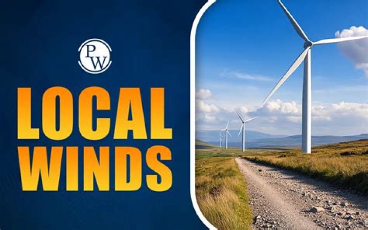 Spotilocal vs. Mainstream Streamers: Why Local Music Discovery Wins